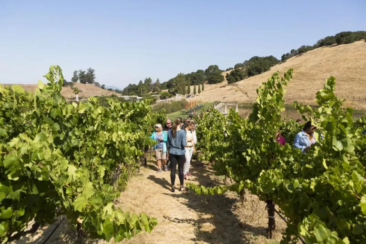 Napa & Sonoma Valley Wine Country Tour