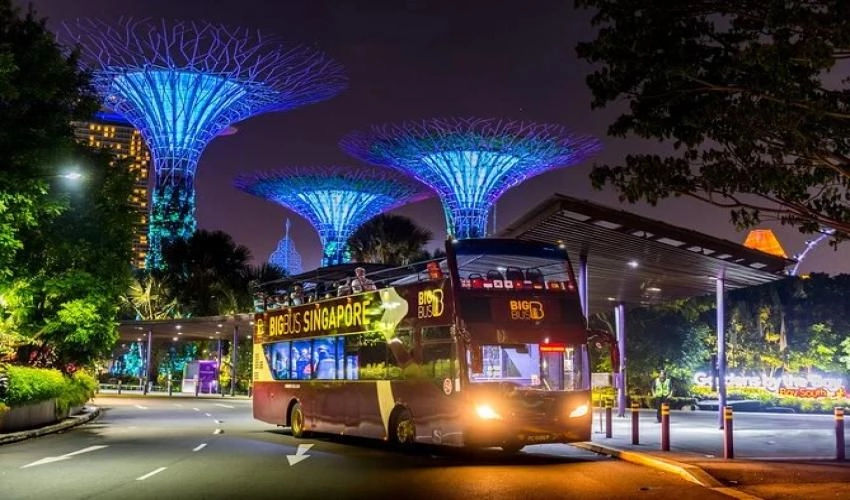 Big Bus Singapore Night Tour with Live Guide