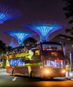 Big Bus Singapore Night Tour with Live Guide