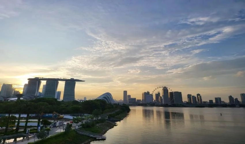 Singapore Night Tour