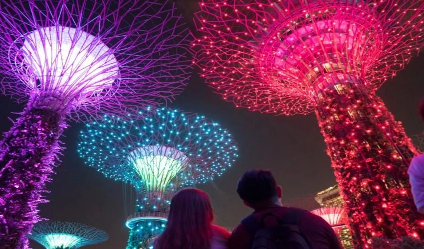 Singapore Night Tour