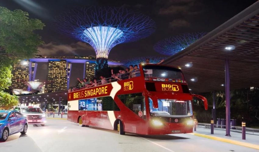 Singapore Night Tour