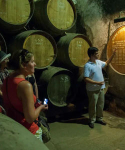 Full Day Trip to Arrabida Wine Region