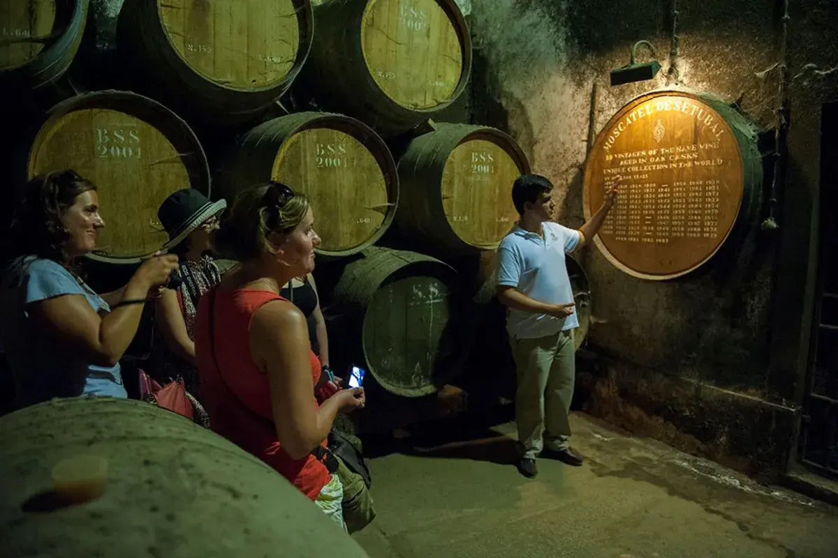 Full Day Trip to Arrabida Wine Region