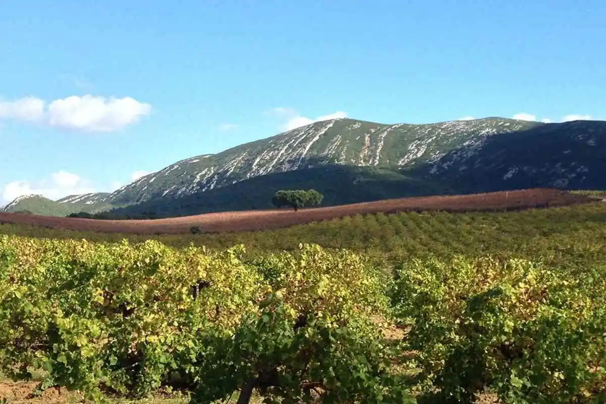 Arrabida Wine Tour