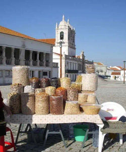 Day Trip to Fatima, Nazare and Obidos