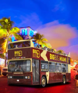 Big Bus: Miami Open-Top Panoramic Night Bus Tour with Live Guide