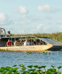 Big Bus Miami: Everglades Experience (Airboat, Wildlife Show, & Roundtrip Bus)