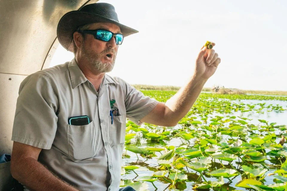 Miami: Everglades Experience