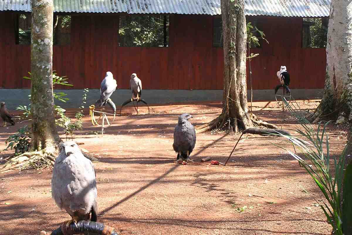Puerto Iguazu City Tour with Triple Border