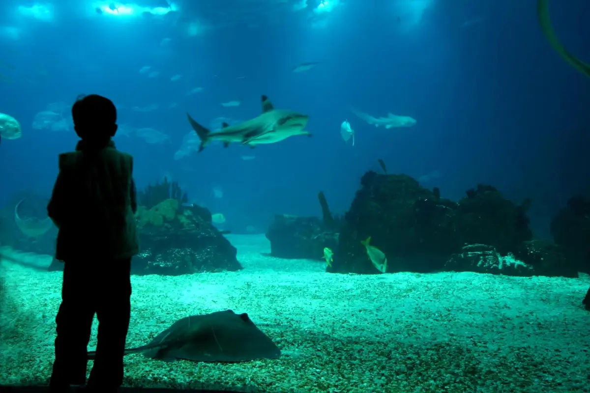 Temaiken Biopark