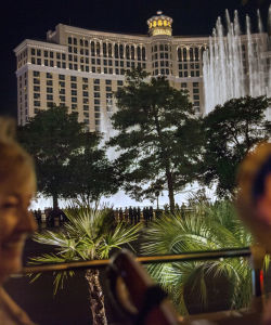 Big Bus: Las Vegas Night Tour