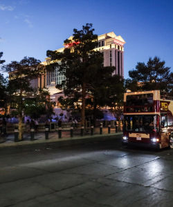 Big Bus: Las Vegas Night Tour
