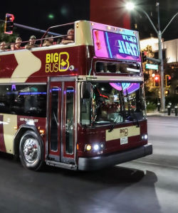 Big Bus: Las Vegas Adult-Only Night Tour