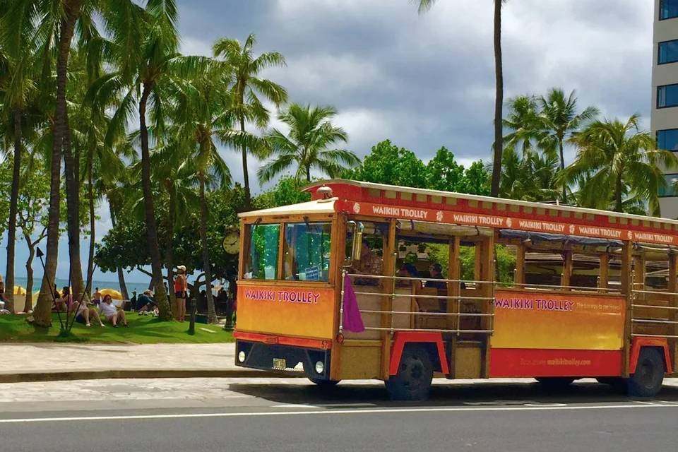 About Honolulu Sightseeing Tours