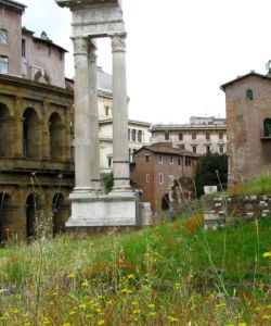 Walking Guide Tour of the Jewish Ghetto of Rome