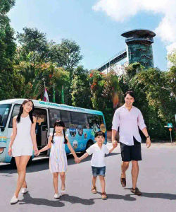 Sentosa Island Bus Tour