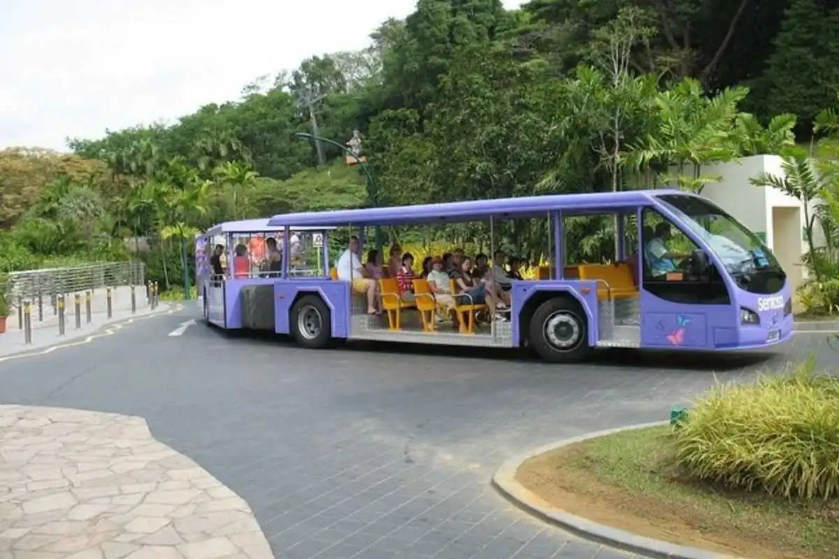 Bus Tour to Sentosa Island