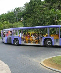 Sentosa Island Bus Tour