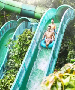 Adventure Cove WaterPark – Ticket Only