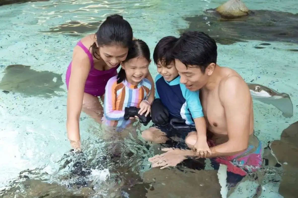 Adventure Cove WaterPark – Ticket Only
