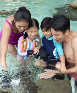 Adventure Cove WaterPark – Ticket Only