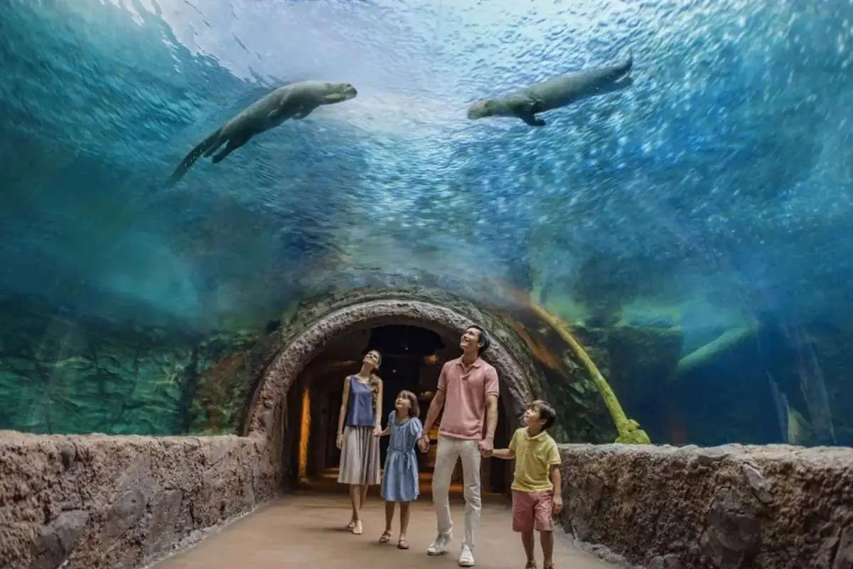 River Wonders – Ticket Only