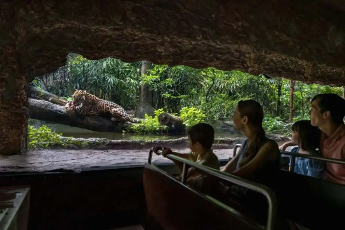 River Wonders – Ticket Only