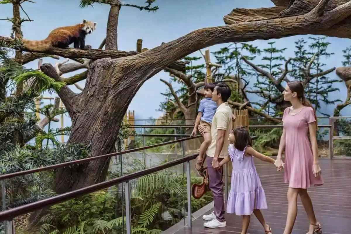 River Wonders – Ticket Only