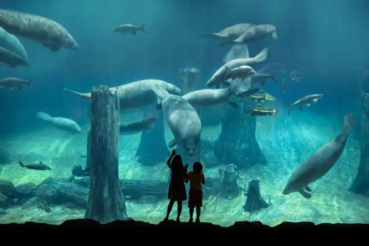 River Wonders – Ticket Only