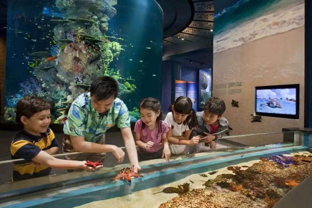 Singapore S.E.A. Aquarium – Ticket Only