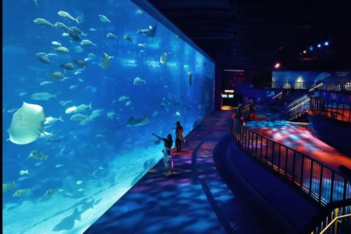 S.E.A. Aquarium – Ticket Only 