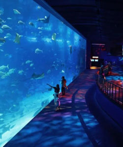 Singapore S.E.A. Aquarium – Ticket Only