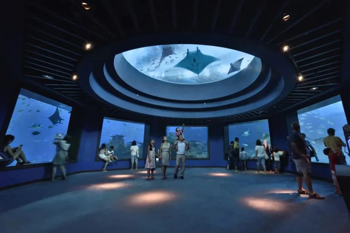 S.E.A. Aquarium – Ticket Only 