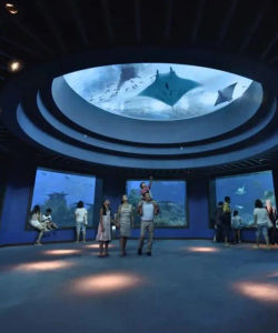 Singapore S.E.A. Aquarium – Ticket Only