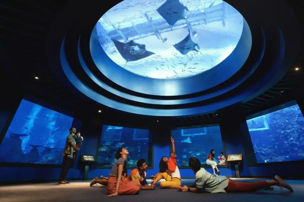 S.E.A. Aquarium – Ticket Only 
