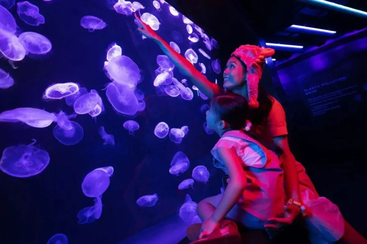 S.E.A. Aquarium – Ticket Only 