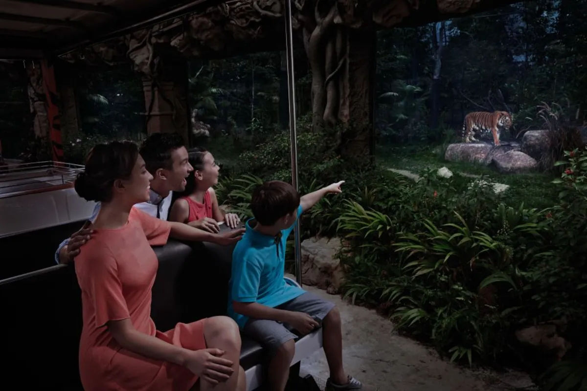 Night Safari with Tram Ride