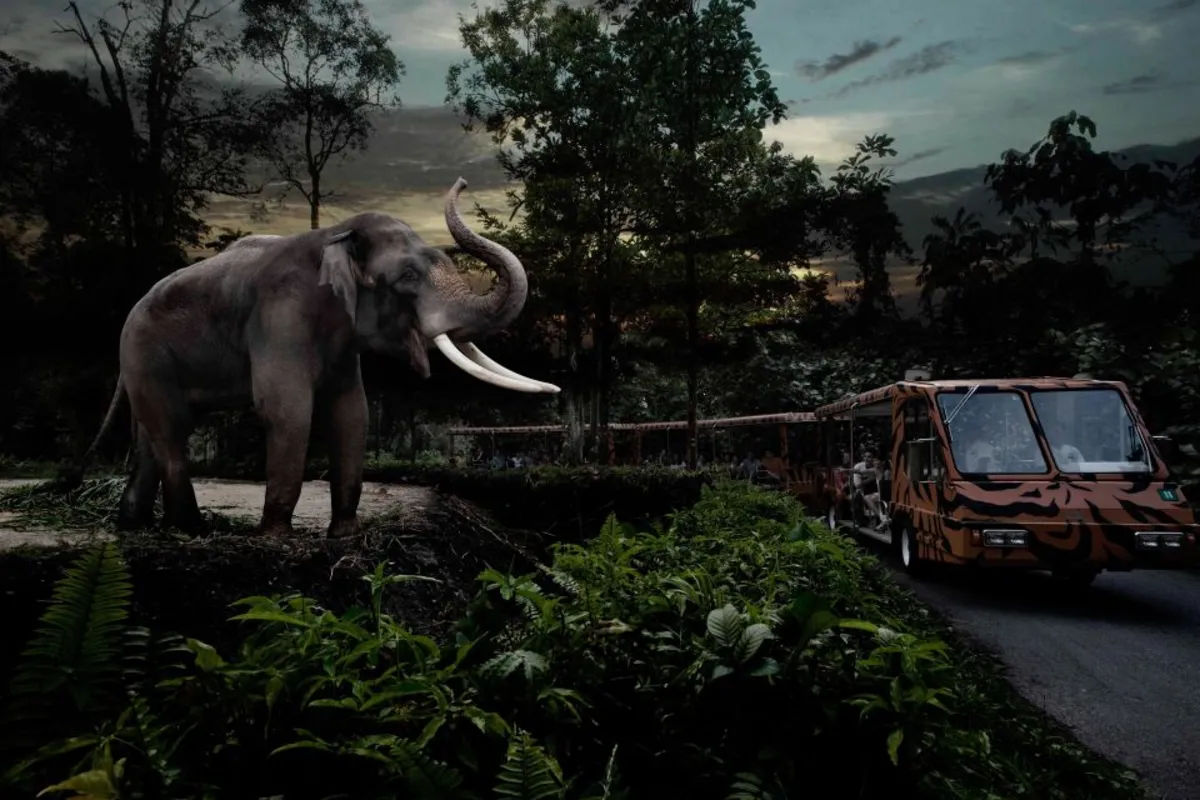 Night Safari with Tram Ride
