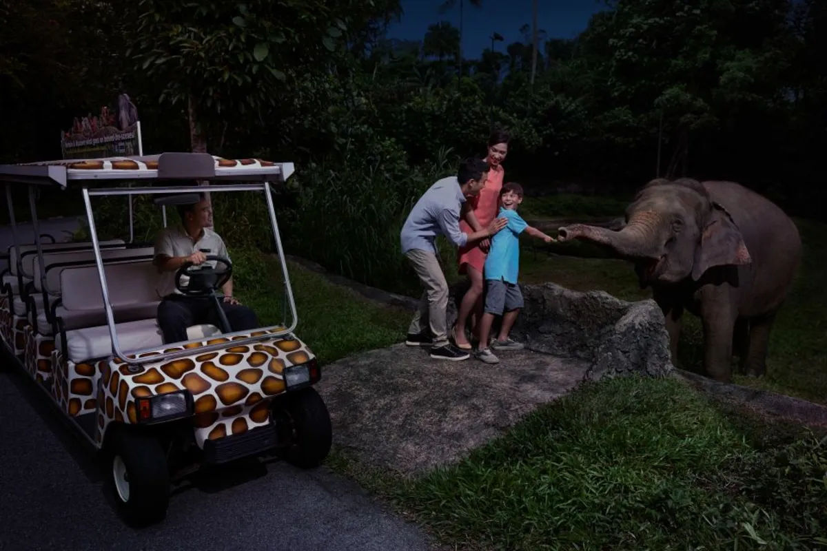 Night Safari with Tram Ride