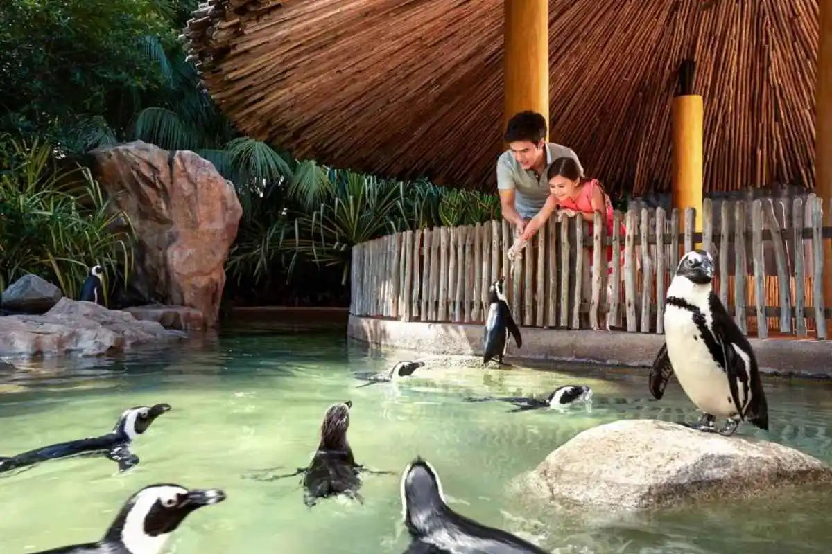 Singapore Zoo with Tram Ride – Ticket Only 