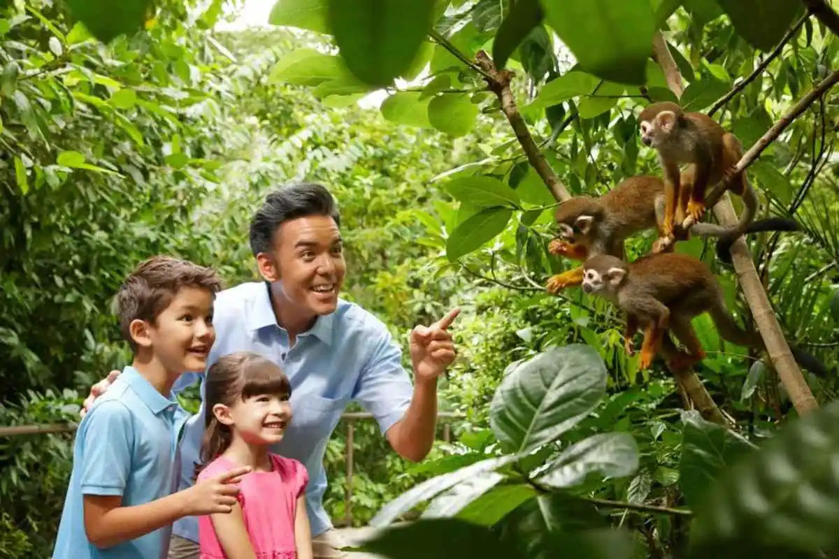 Singapore Zoo with Tram Ride