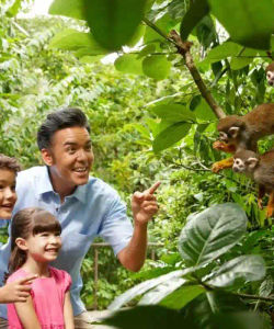 Singapore Zoo with Tram Ride – Ticket Only 