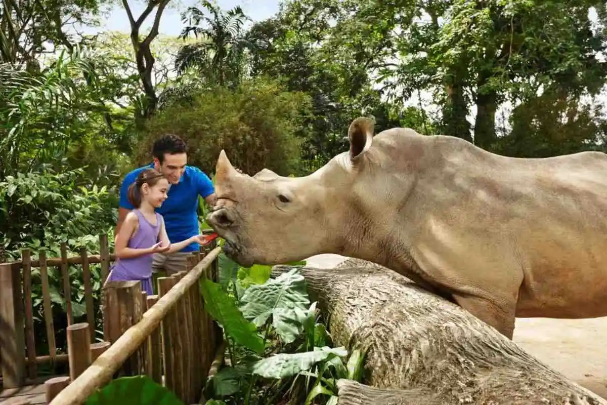 Singapore Zoo with Tram Ride