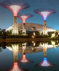 Gardens by the Bay: Entry to Flower Dome and Supertree Observatory