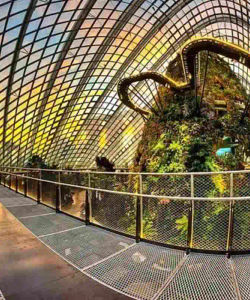 Gardens by the Bay: Entry to Flower Dome and Supertree Observatory