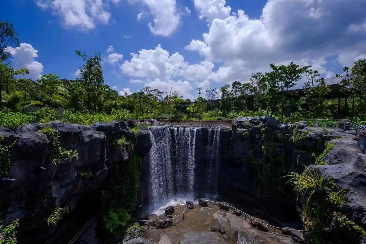 Bird Paradise – Ticket Only 