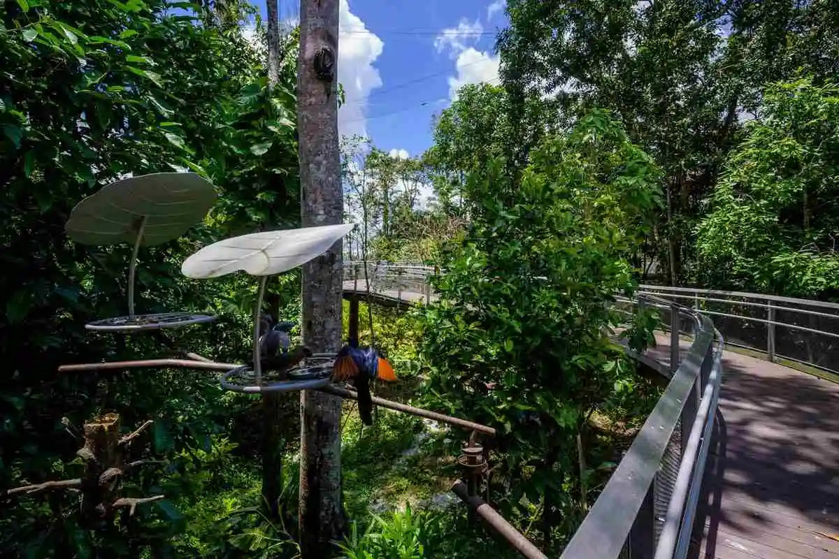 Bird Paradise – Ticket only