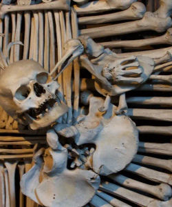 Day Trip to Kutna Hora - an Heritage Site with Free Time