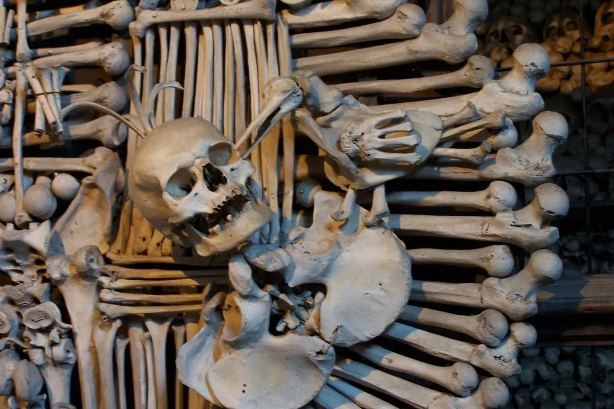 Day Trip to Kutna Hora with e-Guide